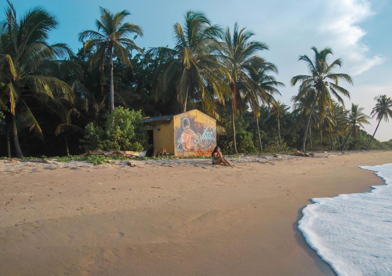 Coccoloba Beach Hostel Dibulla Exterior photo