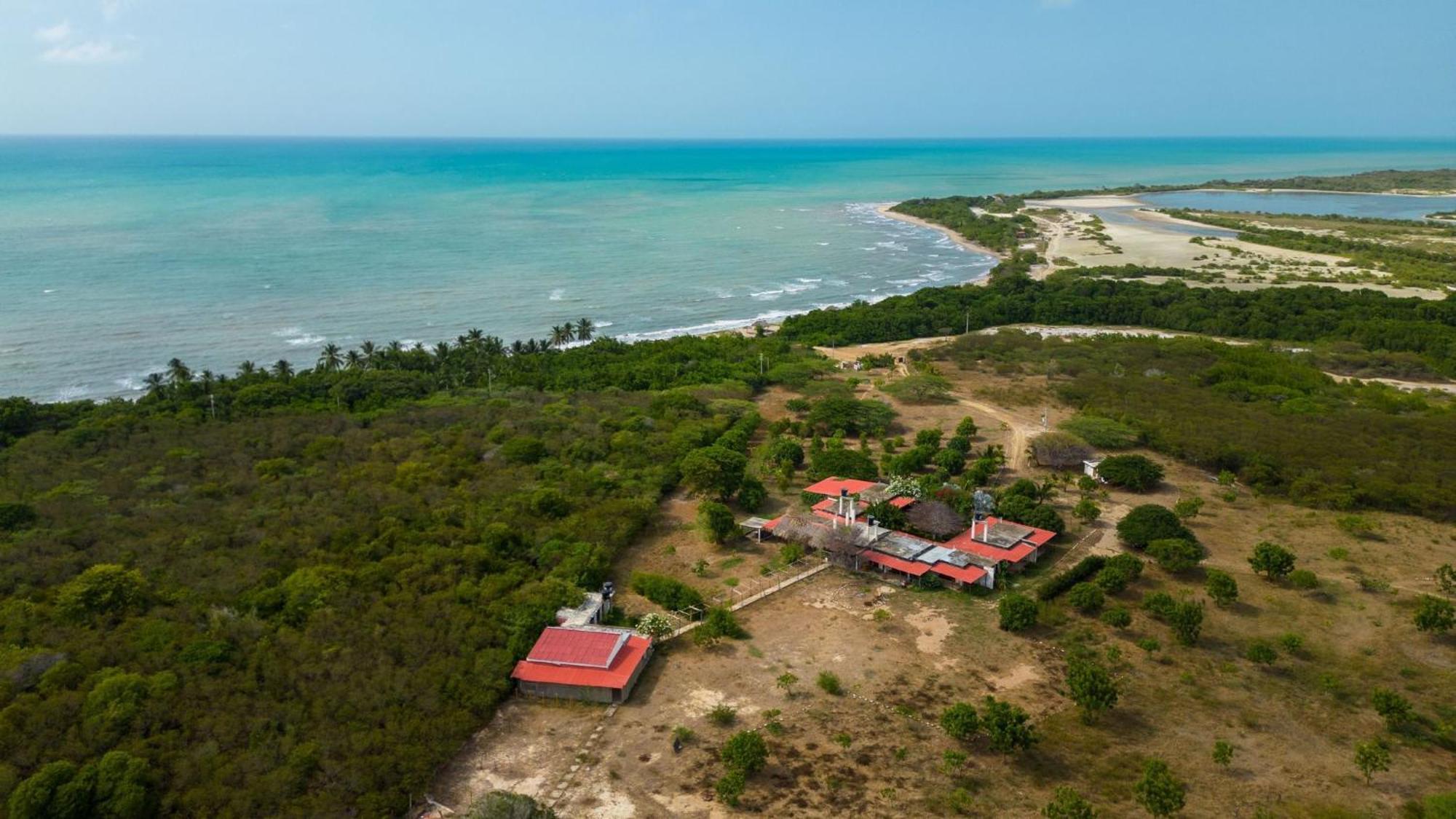 Coccoloba Beach Hostel Dibulla Exterior photo