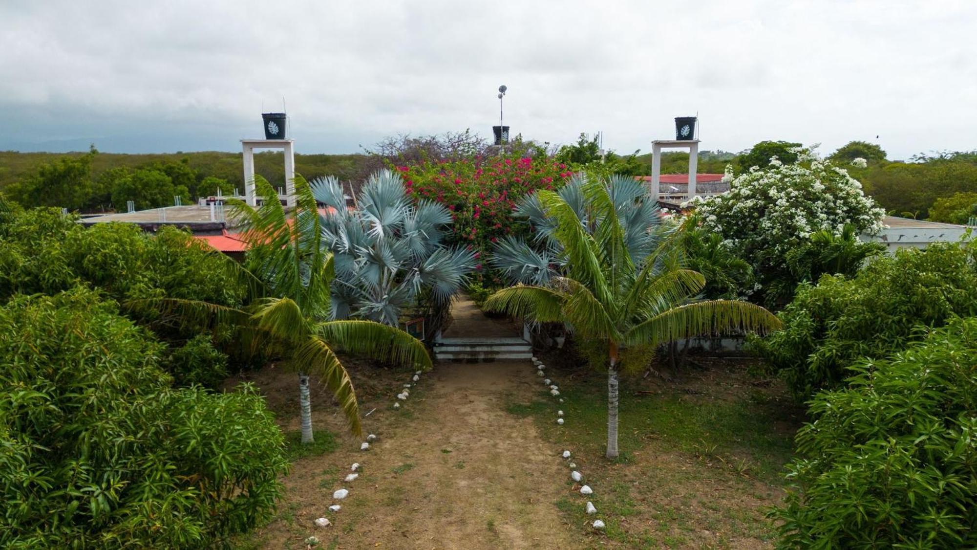 Coccoloba Beach Hostel Dibulla Exterior photo