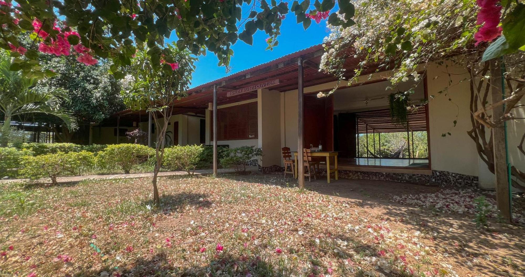 Coccoloba Beach Hostel Dibulla Exterior photo