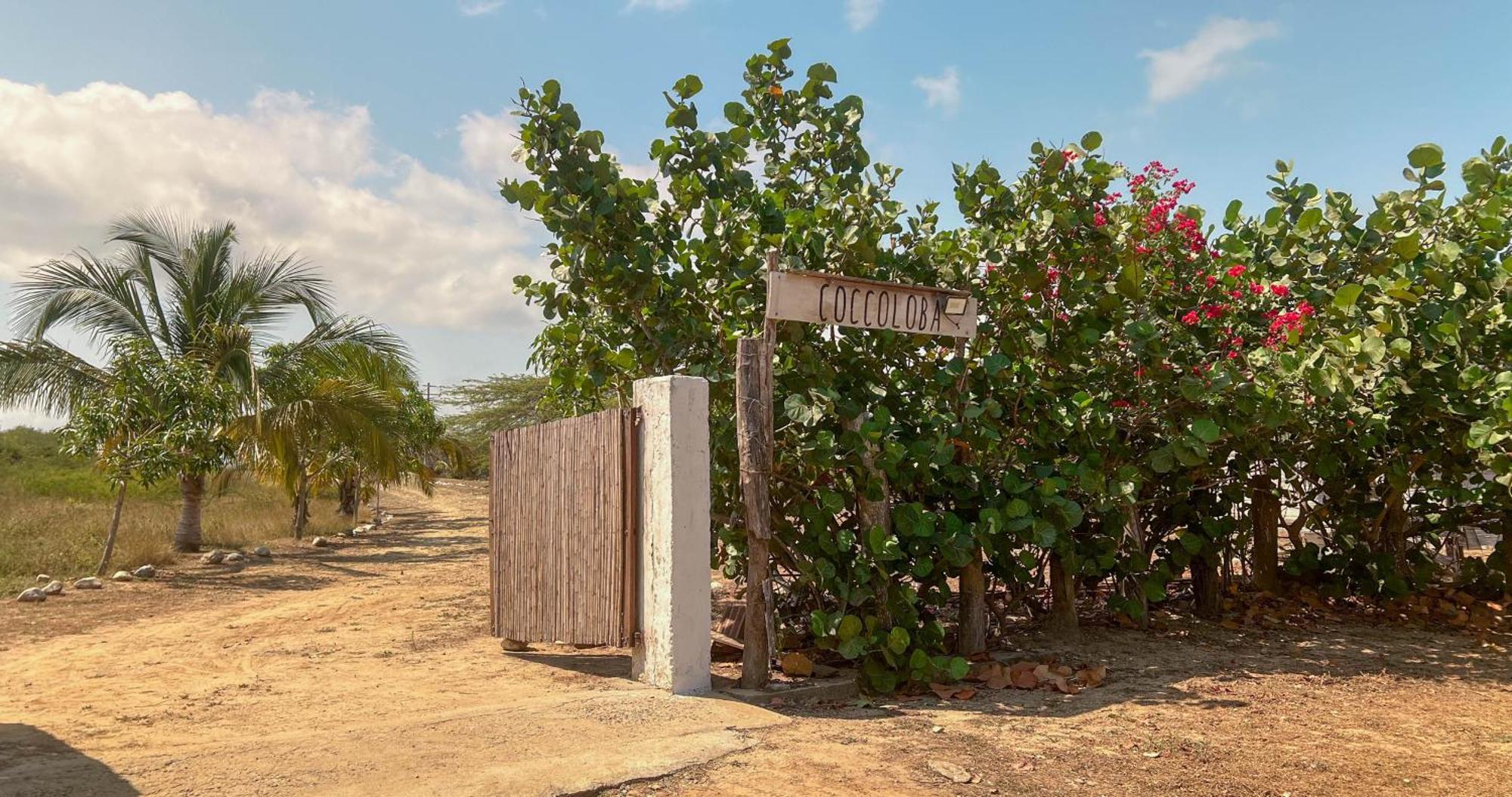 Coccoloba Beach Hostel Dibulla Exterior photo