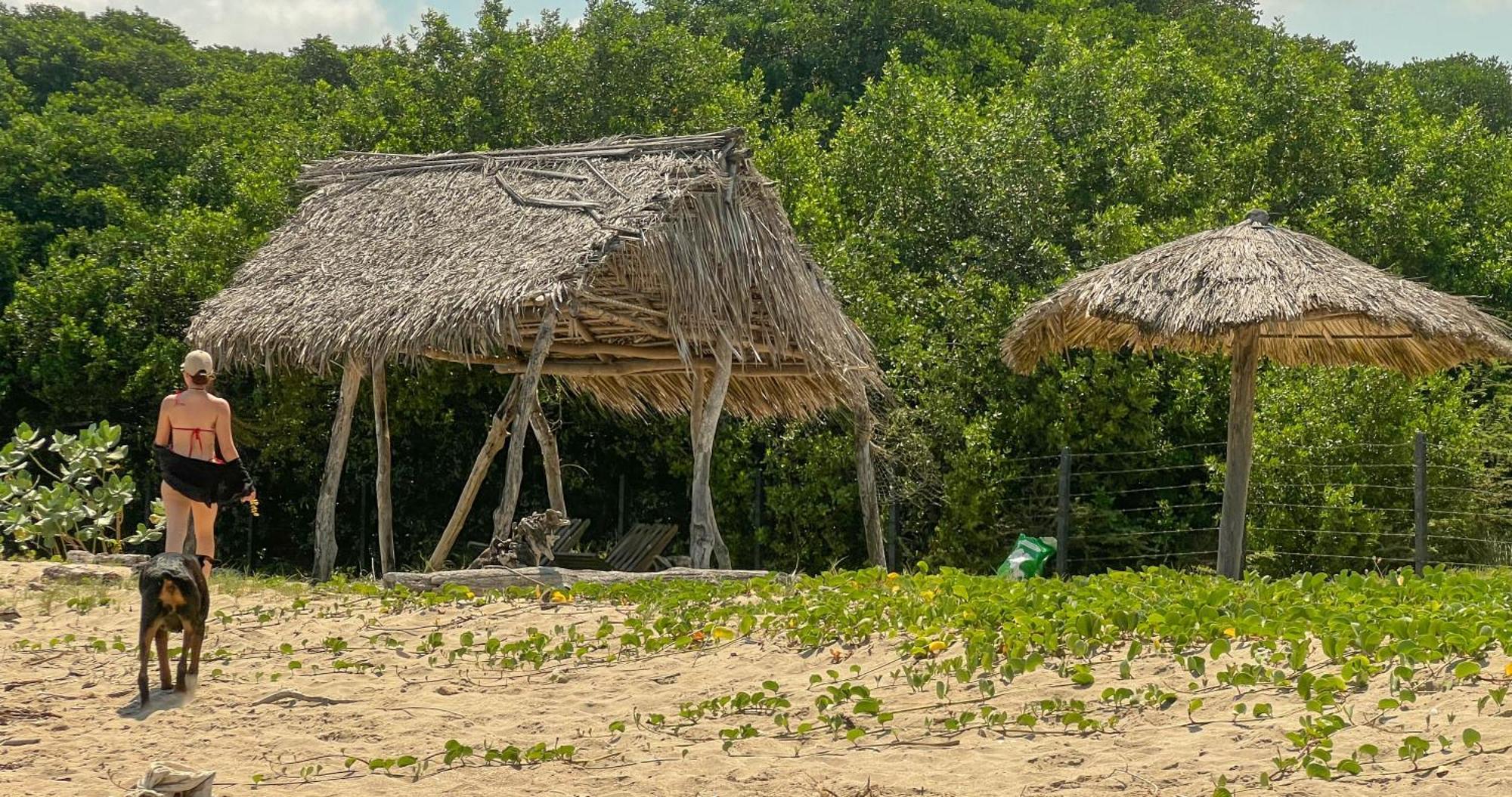 Coccoloba Beach Hostel Dibulla Exterior photo