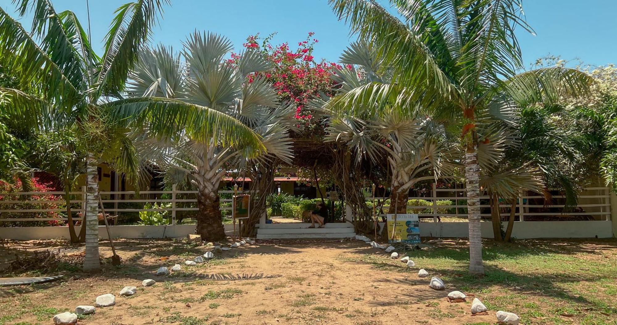 Coccoloba Beach Hostel Dibulla Exterior photo