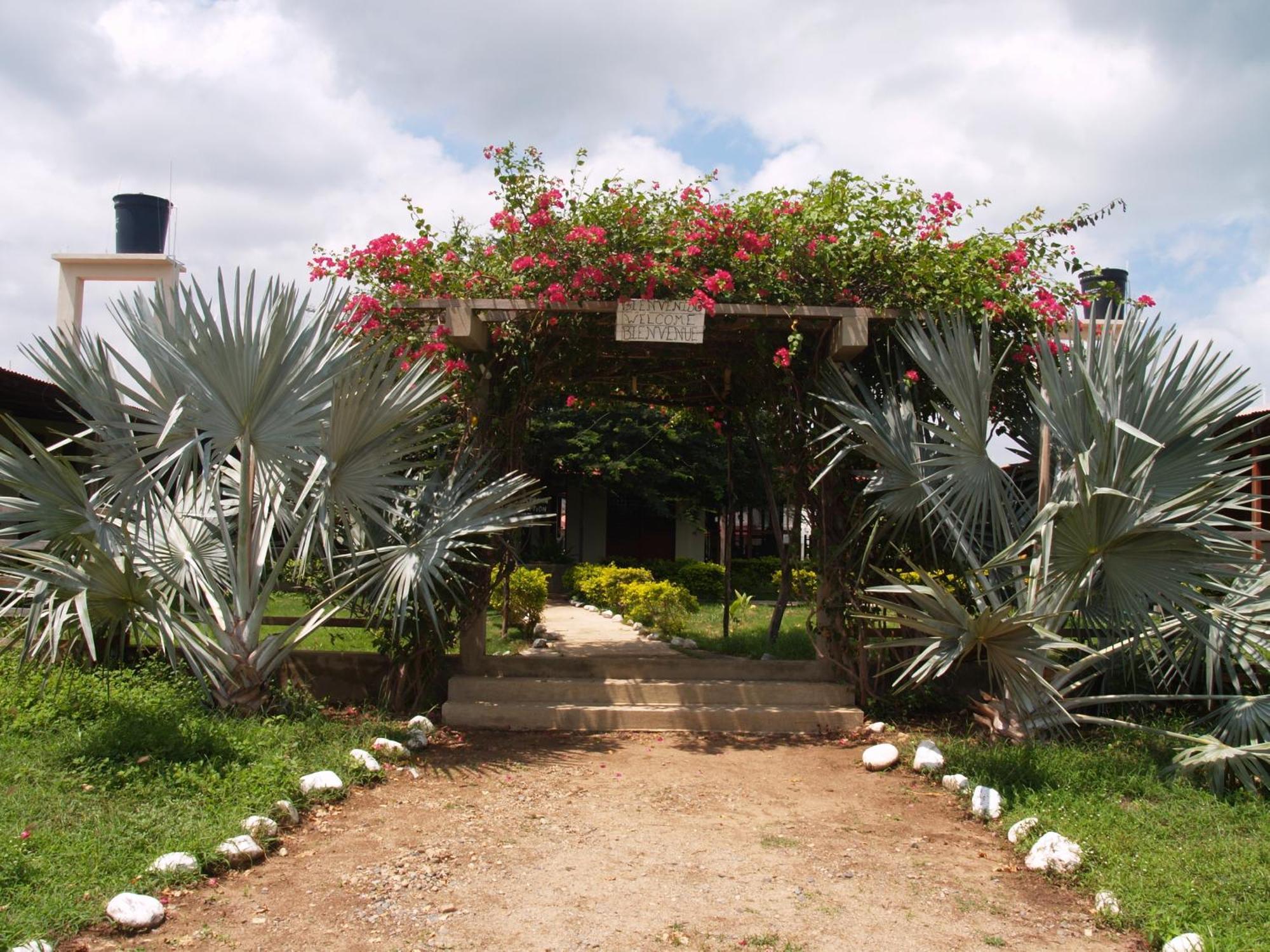 Coccoloba Beach Hostel Dibulla Exterior photo