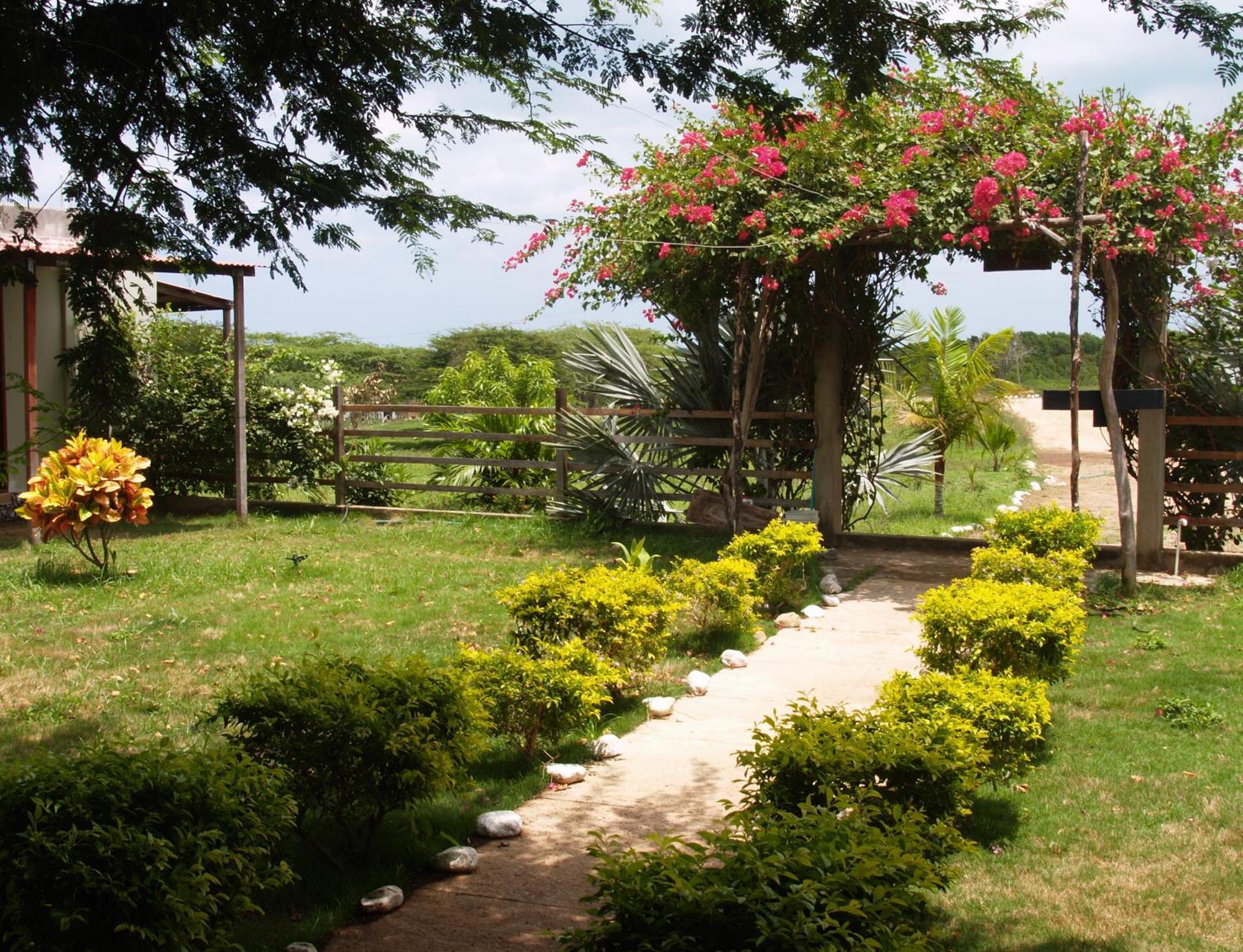 Coccoloba Beach Hostel Dibulla Exterior photo