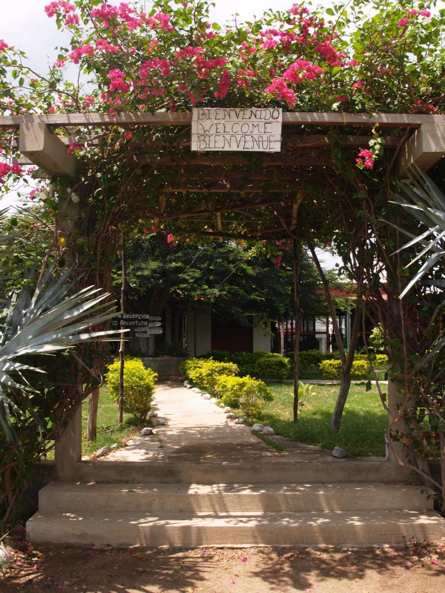 Coccoloba Beach Hostel Dibulla Exterior photo